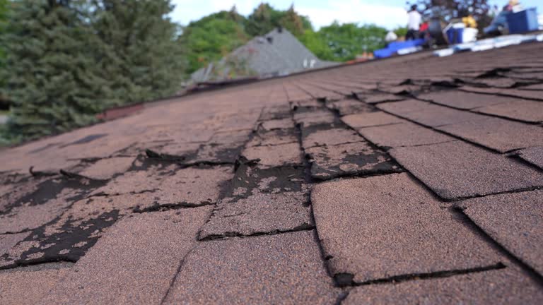 Best Wood Shake Roofing  in Golden Shores, AZ