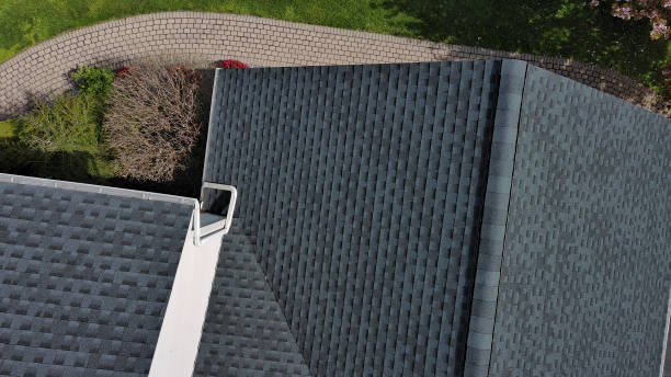 Best Roof Coating and Sealing  in Golden Shores, AZ
