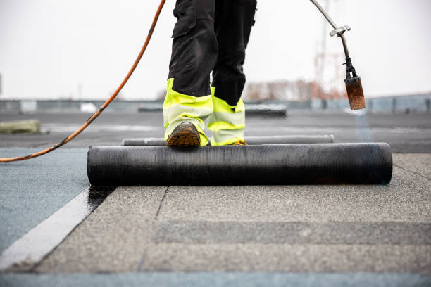 Best Sheet Metal Roofing  in Golden Shores, AZ