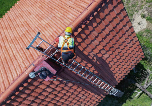 Best Steel Roofing  in Golden Shores, AZ