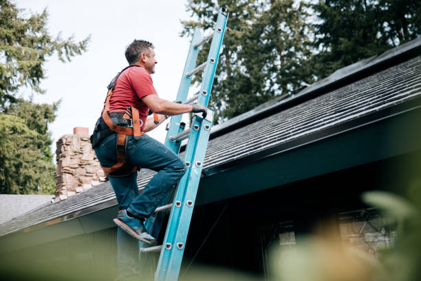Best Sheet Metal Roofing  in Golden Shores, AZ