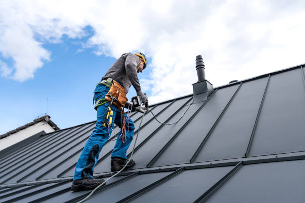 Best Roof Maintenance and Cleaning  in Golden Shores, AZ